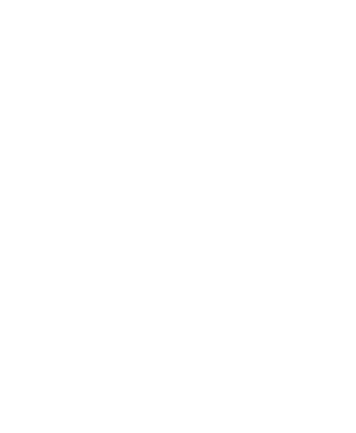 Icon lock